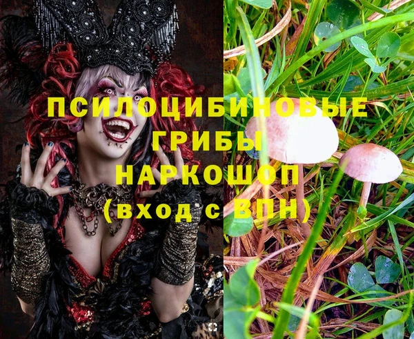меф VHQ Горнозаводск
