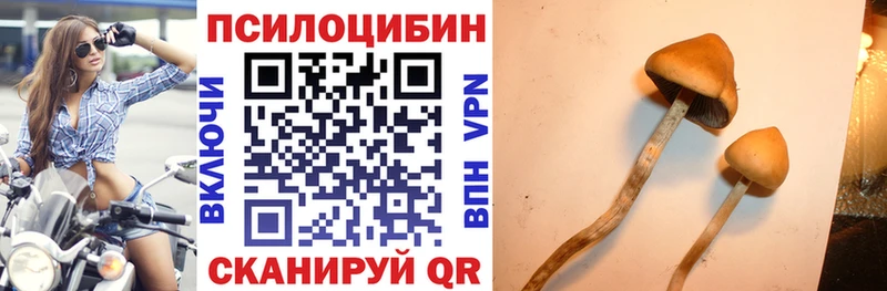 Псилоцибиновые грибы Psilocybine cubensis  Купить закладки  Пустошка 