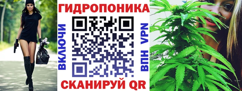 Бошки марихуана VHQ  Купить закладки  Пустошка 